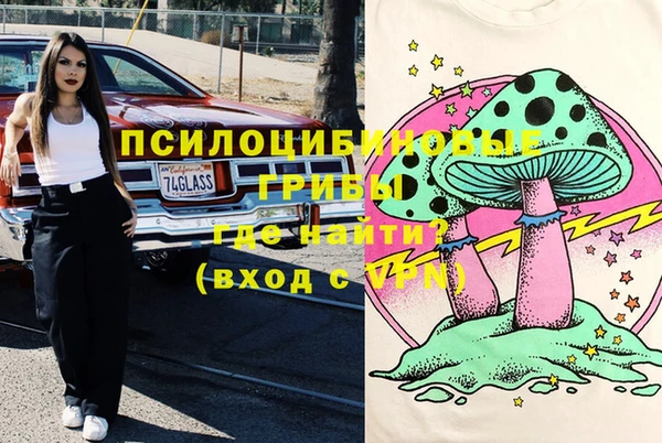 хмурый Верхний Тагил