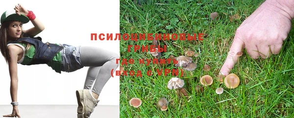 гидропоника Верхнеуральск