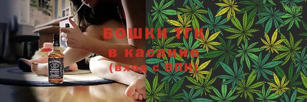 хмурый Верхний Тагил