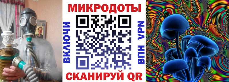 Псилоцибиновые грибы мицелий  Новохопёрск 